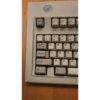 IBM Enhanced Keyboard – Model M